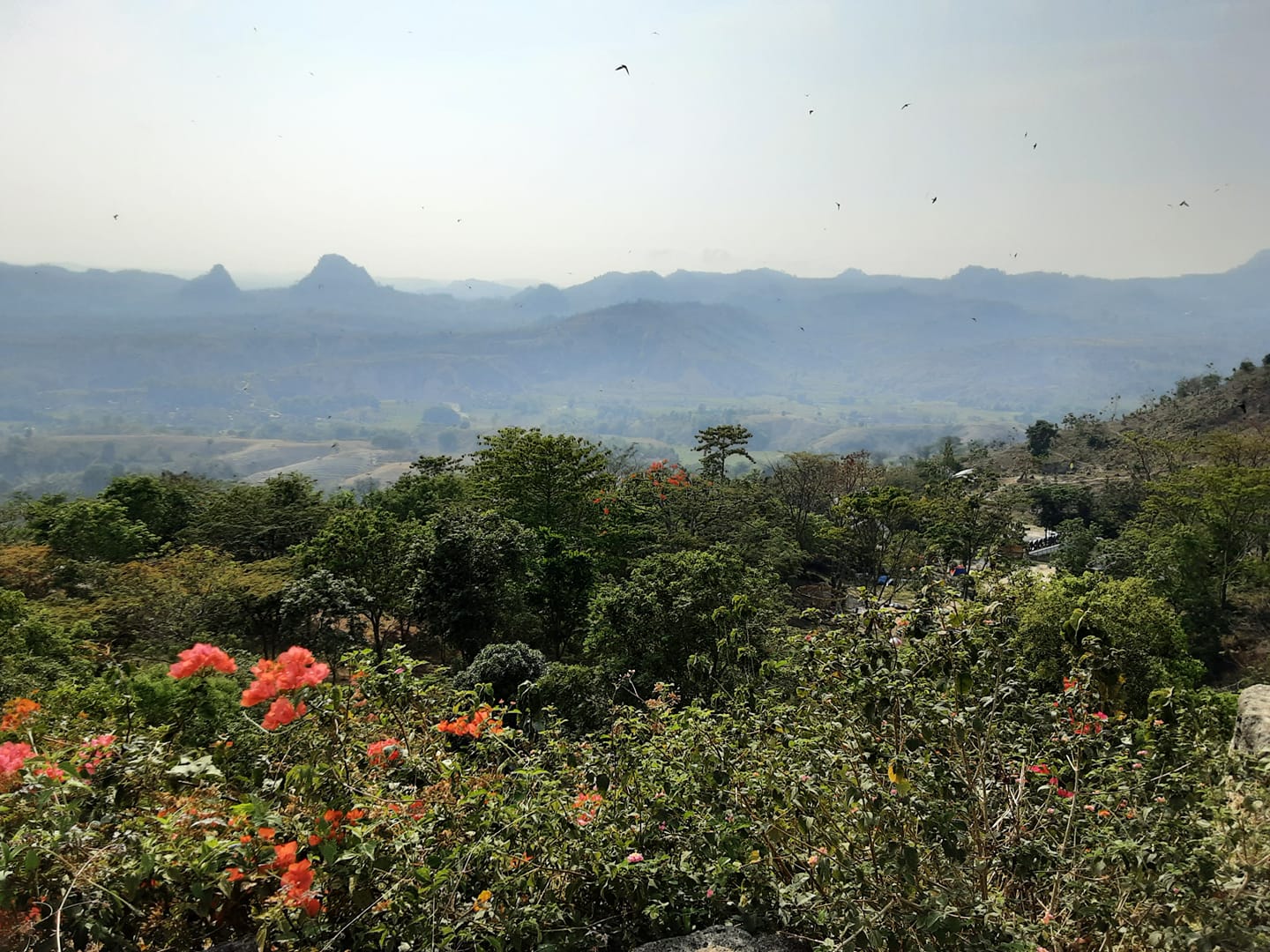 Mengungkap Dasar Laut Berusia 5 Juta Tahun Di Bojonegoro