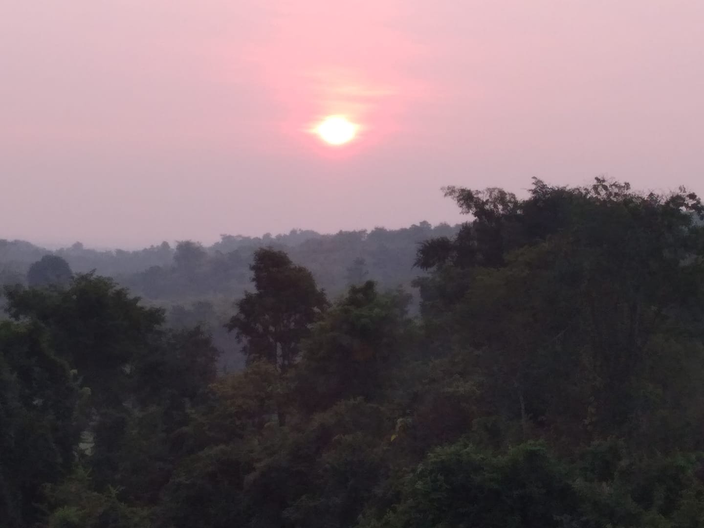 Mengungkap Dasar Laut Berusia 5 Juta Tahun Di Bojonegoro