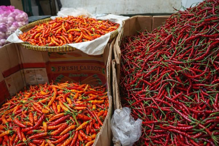 ChatGPT Image 28 Mar 2026, 21.39.21