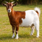 ChatGPT Image 31 Mar 2026, 09.26.48