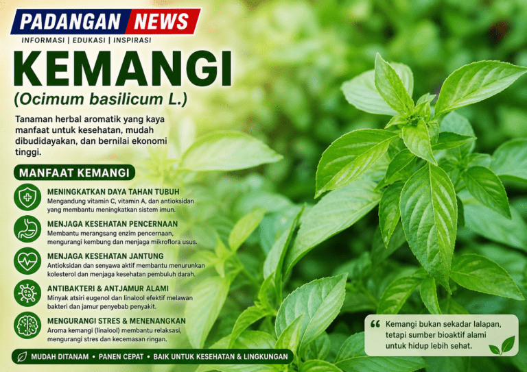 KEMANGI