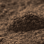 ChatGPT Image 1 Apr 2026, 13.33.40