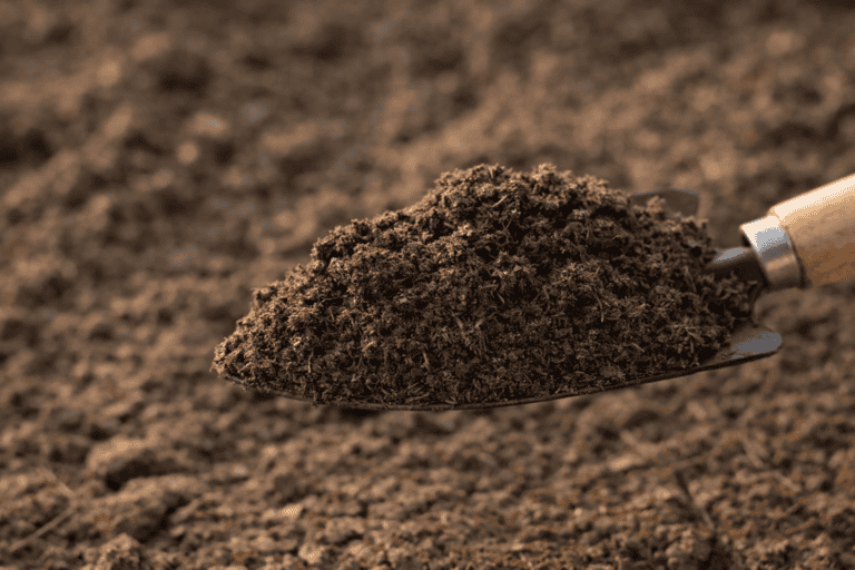 ChatGPT Image 1 Apr 2026, 13.33.40