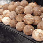 Buah Kelapa Yang Sudah Dikupas, dijual dipasar Bojonegoro