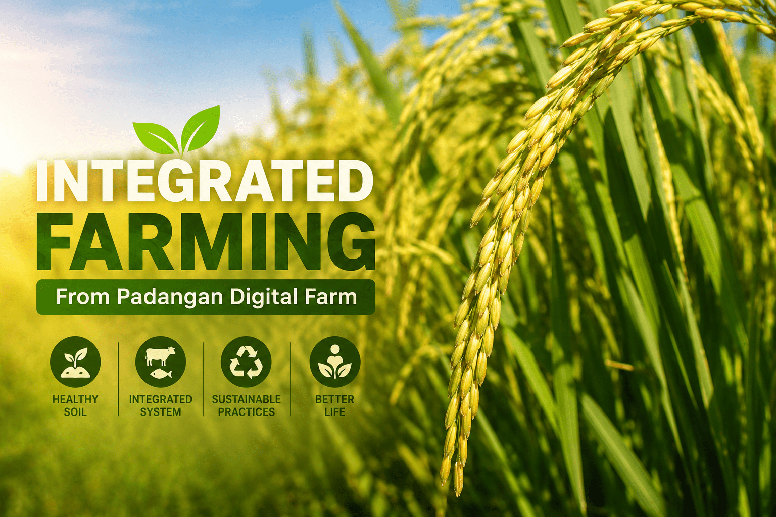 Integrated Farming Dan 4 Prinsip Dasar Pertanian Organik