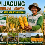 JAGUNG