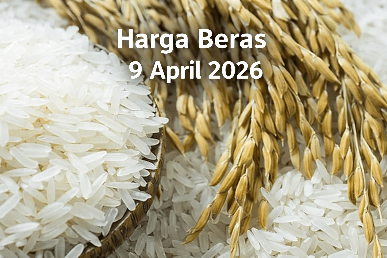 Harga Beras Masih Tinggi per 9 April 2026: Stok Aman, Tapi Ancaman Iklim Bisa Picu Lonjakan Baru