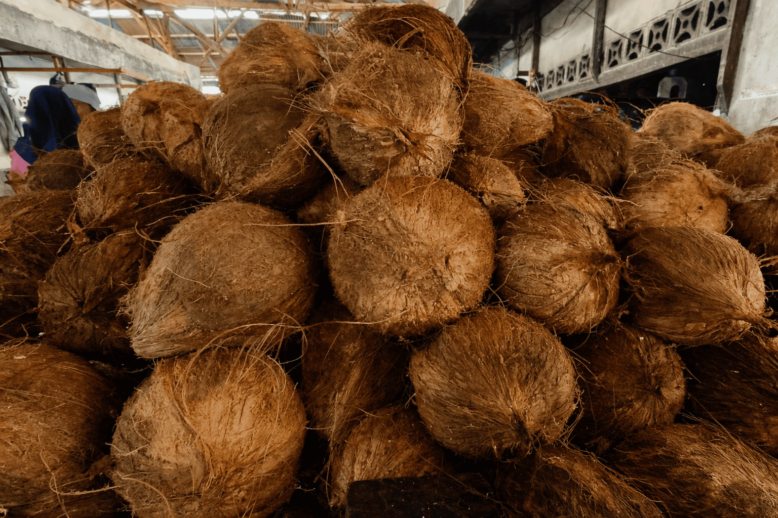 Prediksi Harga Kelapa Tahun 2026-2027 Di Kabupaten Bojonegoro, Naik Atau Turun?