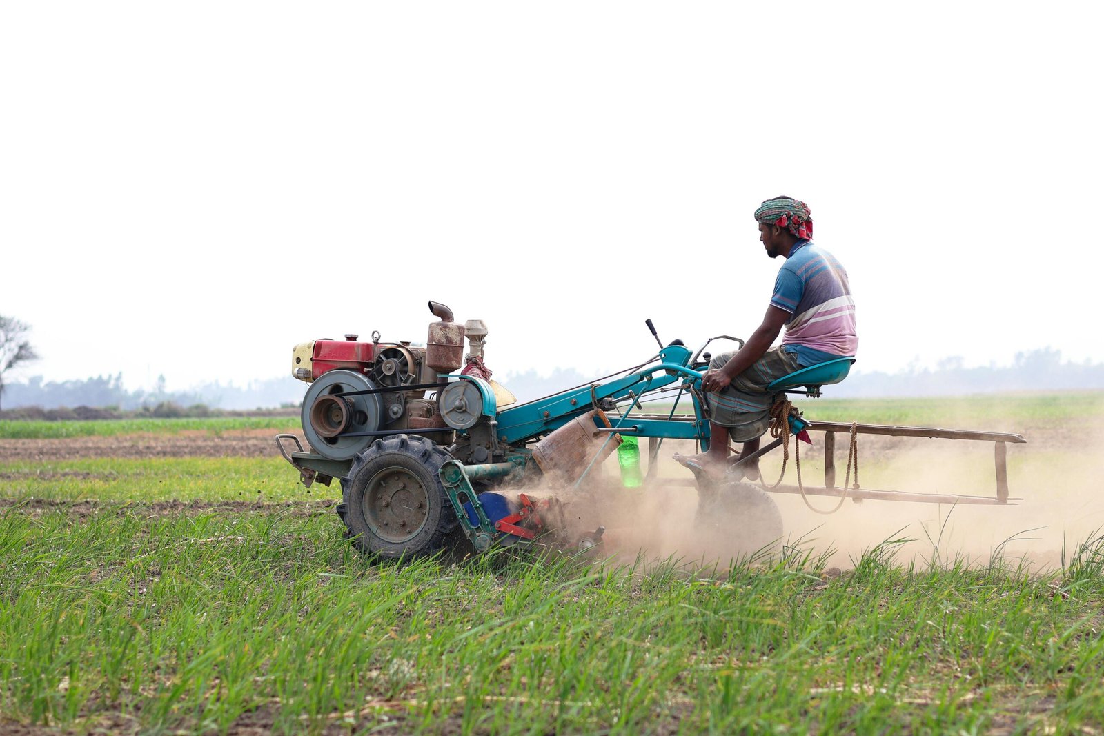 Padangan Digital Farm: Strategi Meningkatkan Produktivitas dan Efisiensi di Bojonegoro