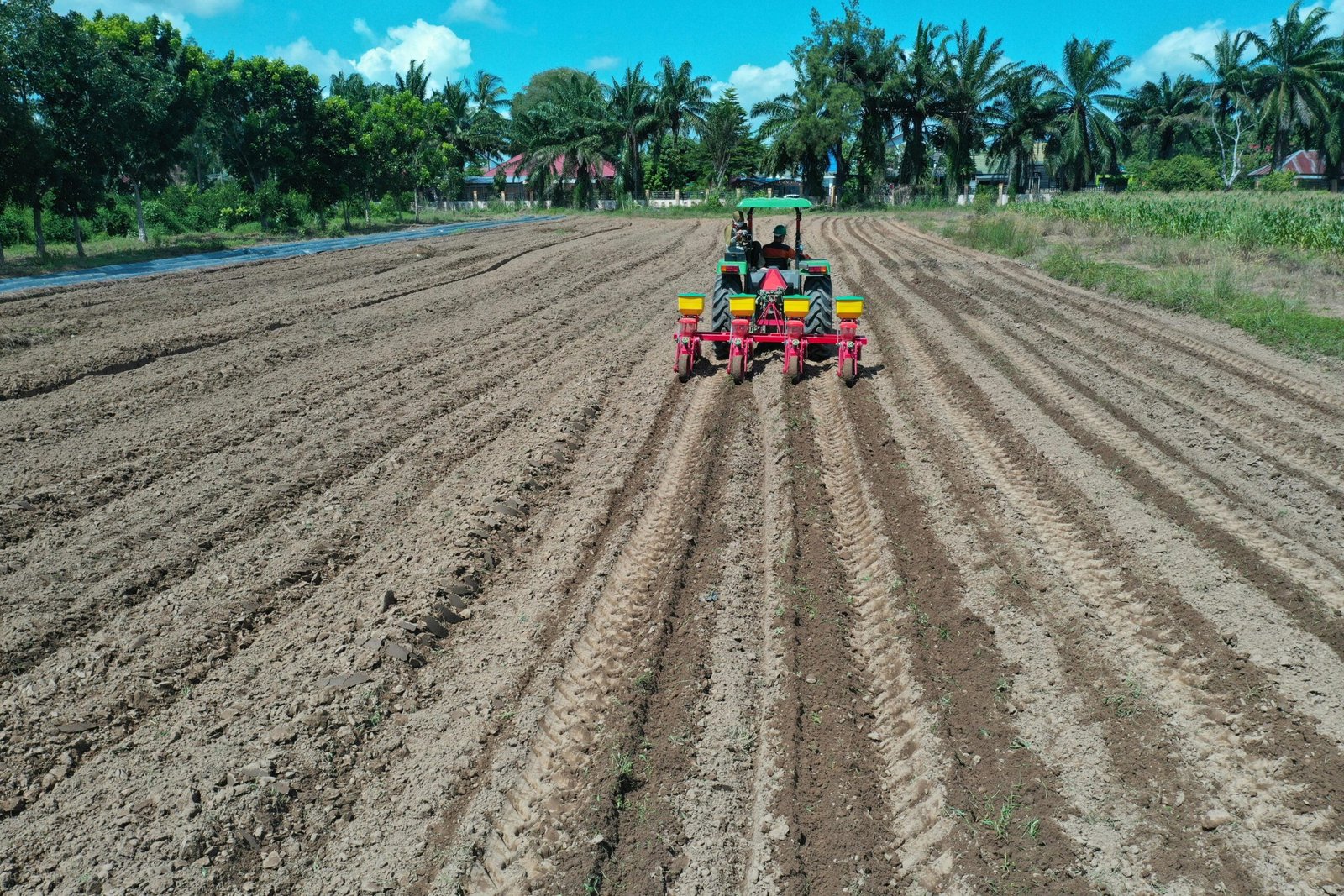 Padangan Digital Farm: Strategi Meningkatkan Produktivitas dan Efisiensi di Bojonegoro