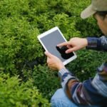 pexels-shvetsa-5230983