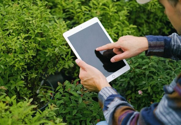 pexels-shvetsa-5230983