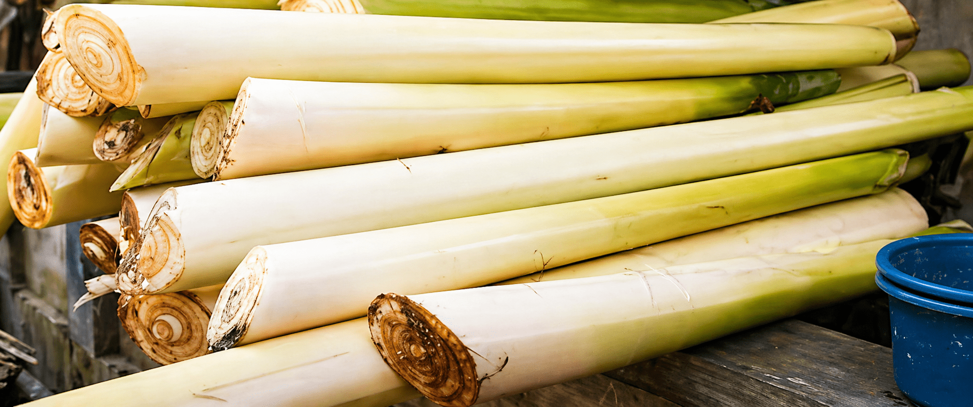 Ampuh Atasi Sakit Ginjal, Begini Cara Mengolah Gedebog Pisang Jadi Masakan Lezat.