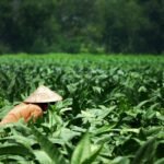 pix-off-women-7543526_1920