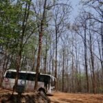 sarangib-bus-171836_1920