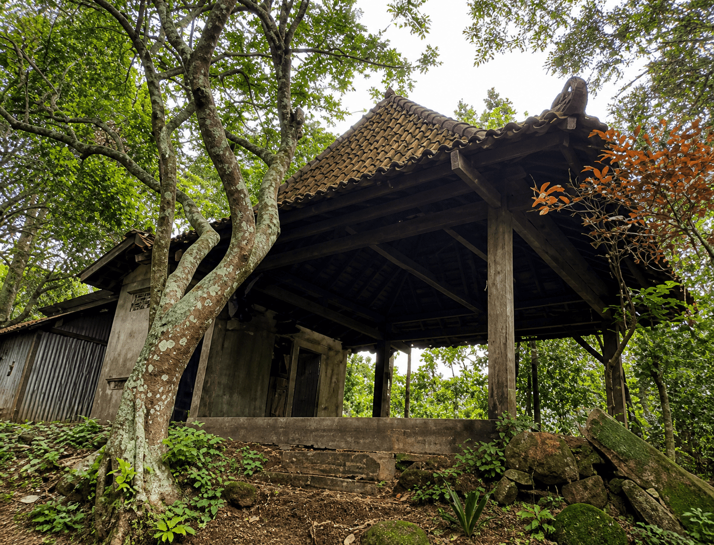 Misteri Hilangnya Patung Raksasa Di Gunung Pandan Bojonegoro 1882
