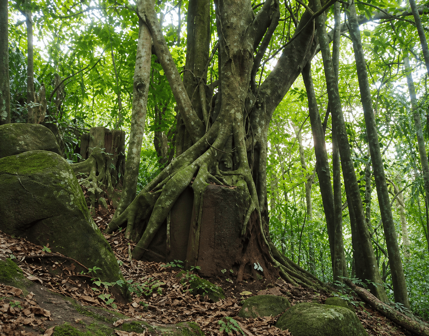 Misteri Hilangnya Patung Raksasa Di Gunung Pandan Bojonegoro 1882