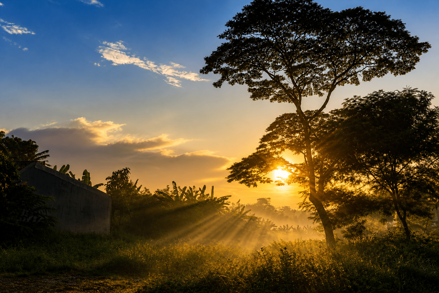 Ray Of Light - Menikmati Cahaya Pagi Gunung Pandan